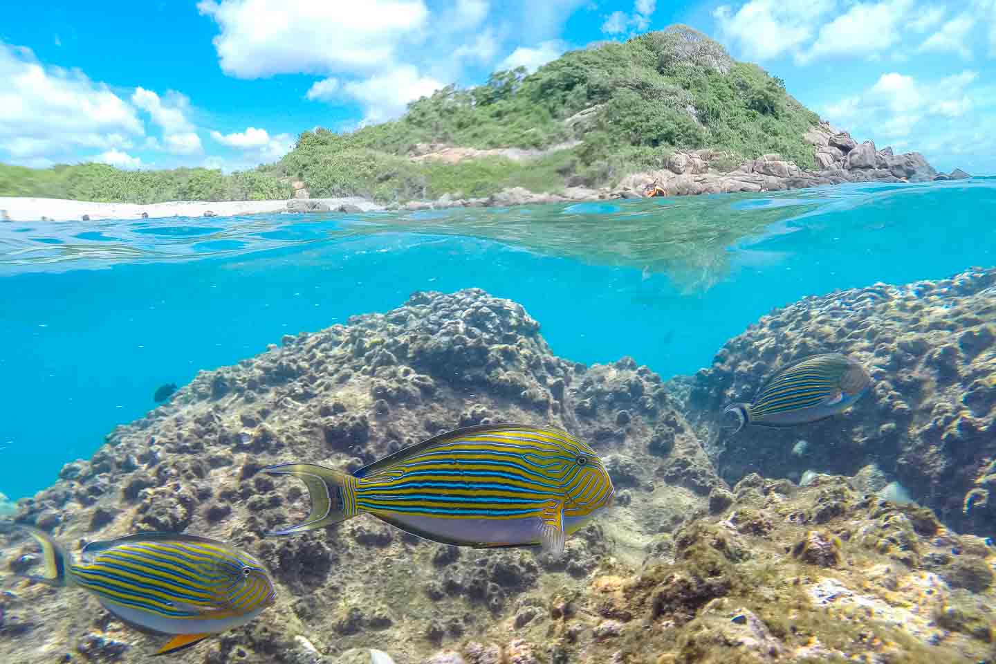 Pigeon_island_img