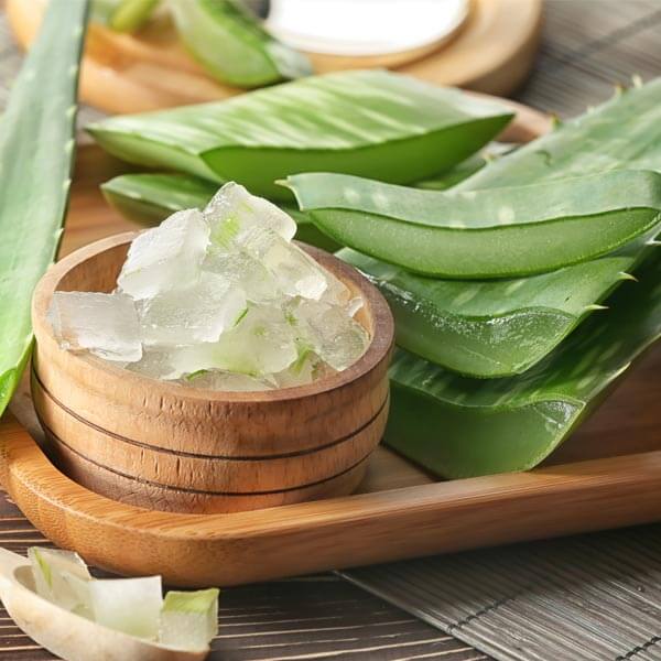 aloe vera img
