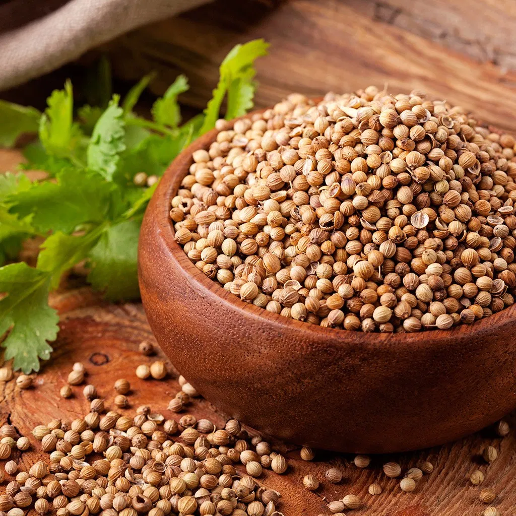coriander img