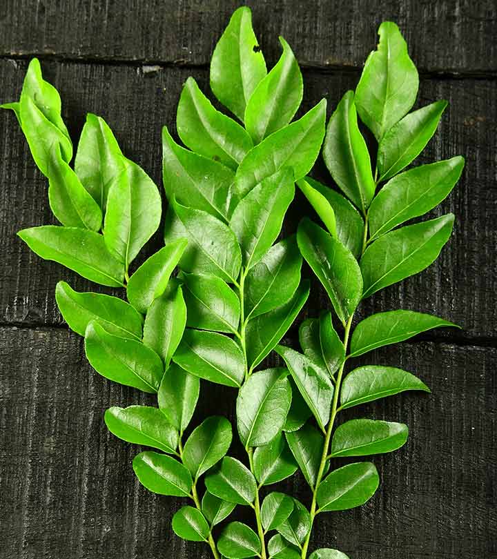 curry-leaves img